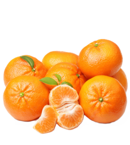 Mandarins P/P