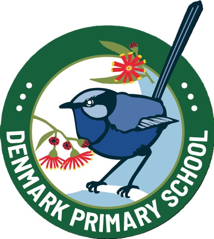Denmark Primary School Year 6 Class