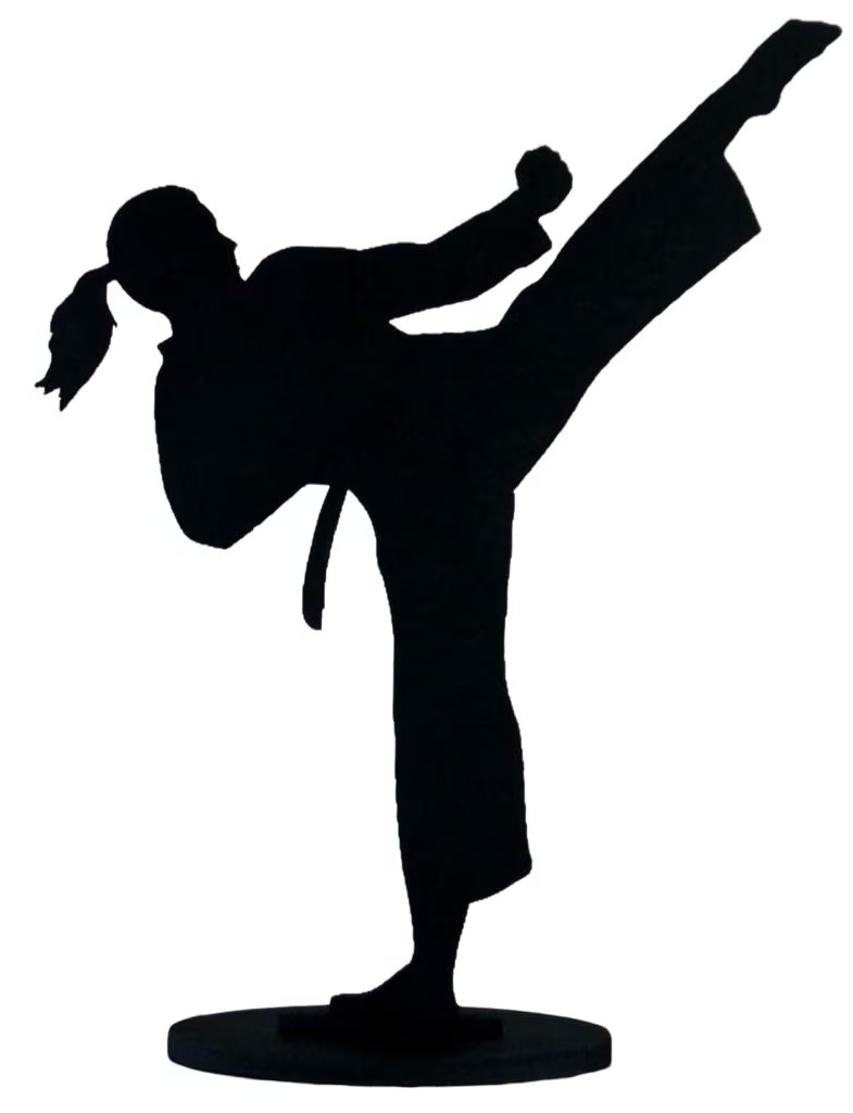 Denmark Bushido Dojos Karate